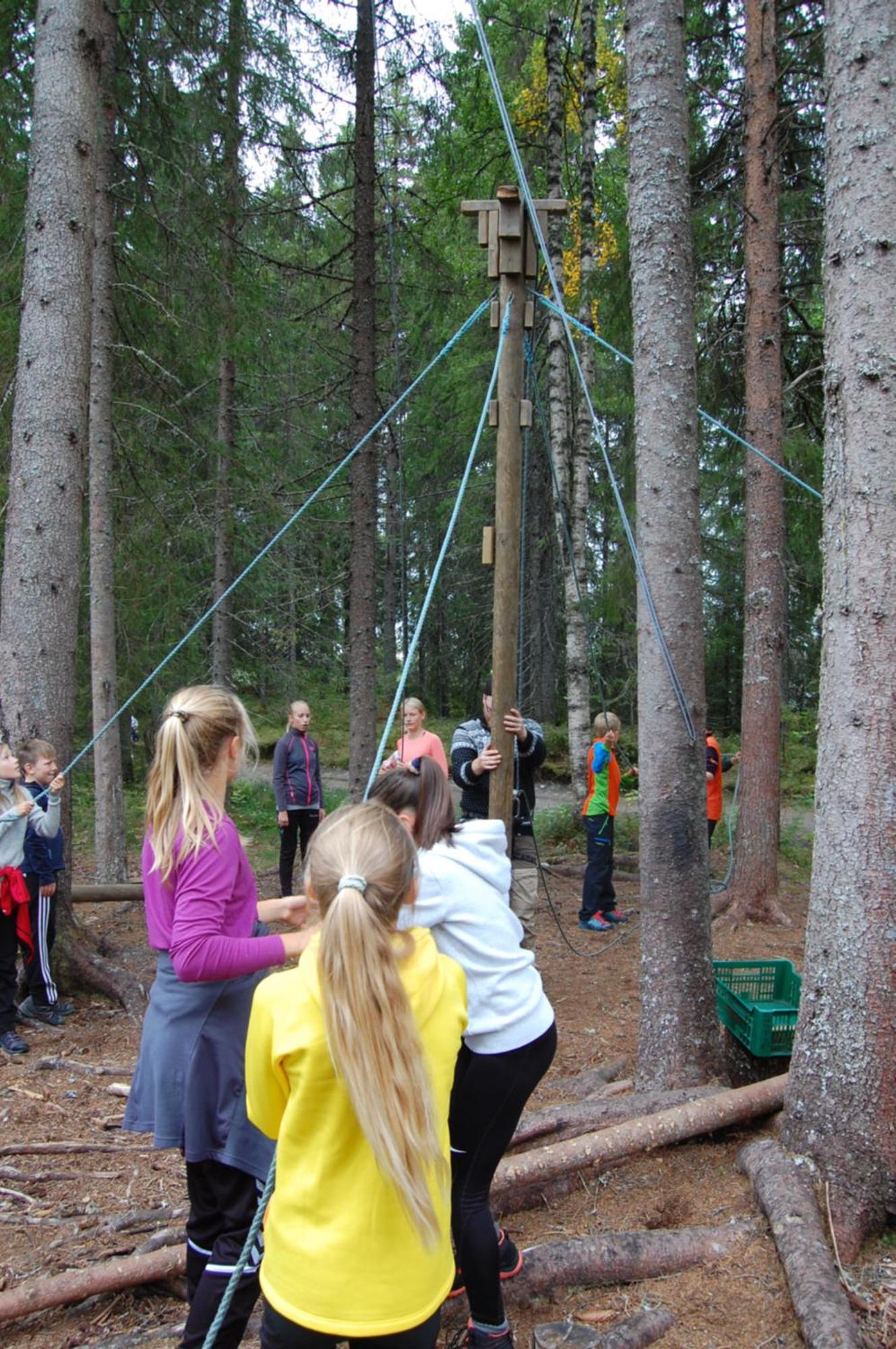 Отель Camp Sjusjoen Mesnali Экстерьер фото