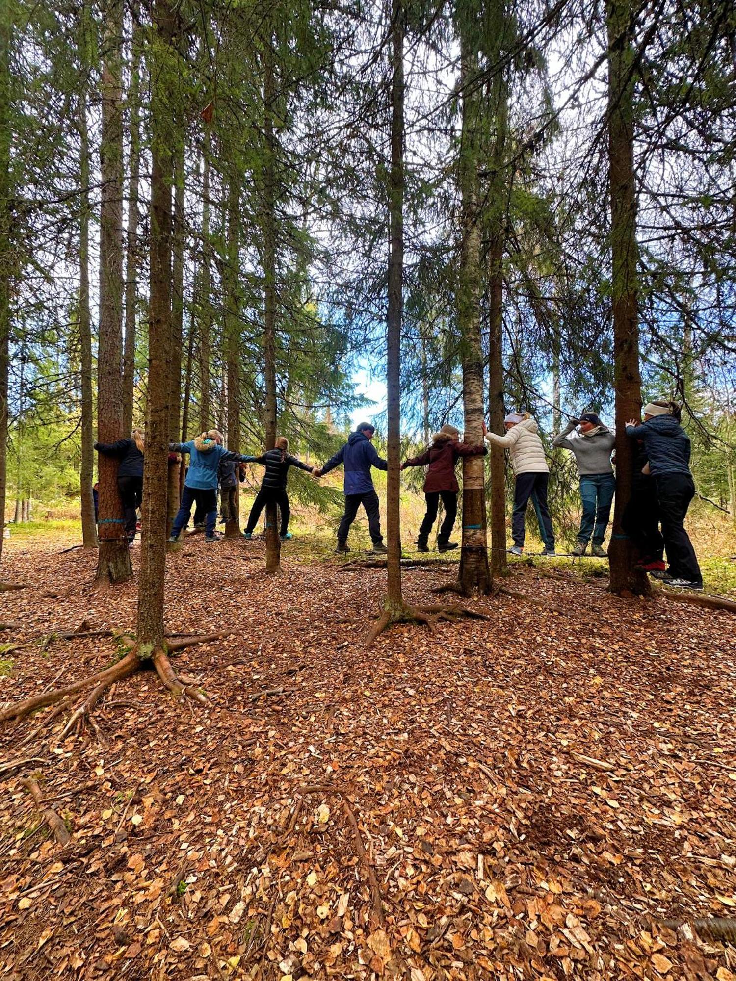 Отель Camp Sjusjoen Mesnali Экстерьер фото